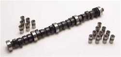 Cam and Lifters, Hydraulic Flat Tappet, Advertised Duration 256/262, Lift .514/.514, Ford, 429, 460, Kit