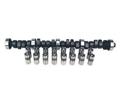 Cam and Lifters, Hydraulic Flat Tappet, Advertised Duration 252/252, Lift .433/.433, Ford, 351W, Kit