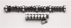 Cam and Lifters, Hydraulic Flat Tappet, Advertised Duration 254/262, Lift .477/.493, Ford, 351W, Kit