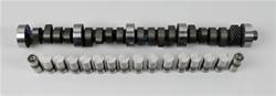 Cam and Lifters, Hydraulic Flat Tappet, Advertised Duration 262/270, Lift .493/.512, Ford, 351W, Kit