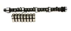 Cam and Lifters, Hydraulic Flat Tappet, Advertised Duration 284/296, Lift .507/.510, Pontiac, V8, Kit