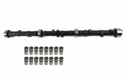Cam and Lifters, Hydraulic Flat Tappet, Advertised Duration 262/270, Lift .493/.512, AMC, Jeep, L6, Kit