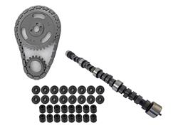 Cam/Lifters/Valvetrain, Hydraulic Flat Tappet, Adv. Duration 268/268, Lift .485 .485 in., Chevy, Big Block