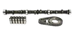 Cam and Lifters, Timing, Hydraulic Flat Tappet, Adv. Duration 250/256, Lift .460/.476, Jeep, L6, Kit