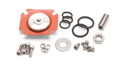 Fuel Pressure Regulator Rebuild Kit, Diaphragm Type, Kit