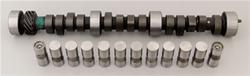 Cam and Lifters, Hydraulic Roller Tappet, Advertised Duration 290/290, Lift .578/.578, Chevy, Big Block, Kit