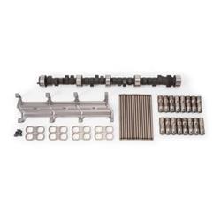 Cam and Lifters, Hydraulic Roller, Advertised Duration 296/300, Lift .539/.548, Pushrods, Chevy, 5.0L, 5.7L, Kit