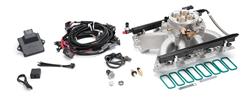 Fuel Injection System, Pro-Flo 4, Self-Learning, Sequential Multi-Port, Satin, 450 HP Max, Gen III & IV LS Cathedral Port, Kit