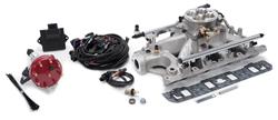 Fuel Injection System, Pro-Flo 4, Self-Learning, Sequential Multi-Port, Satin, 450 HP Max, Small Block Ford, Kit