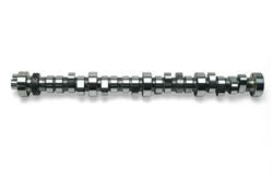 Camshaft, Hydraulic Roller Tappet, Advertised Duration 282/282, Lift .498/.498, Ford, 5.0L, Each