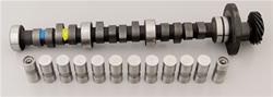 Cam and Lifters, Hydraulic Flat Tappet, Advertised Duration 280/290, Lift .448/.472, Buick, 3.8, 4.1L, V6, Kit