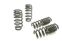 Lowering Springs, Pro-Kit, Front and Rear, Coil Type, Progressive Rate, Black Powdercoated, Dodge, Kit