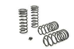 Lowering Springs, Pro-Kit, Front and Rear, Black Powdercoated, Ford, Mercury, Kit