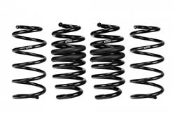 Lowering Springs, Pro-Kit, Front and Rear, Coil Type, Black Powdercoated, Ford, Kit