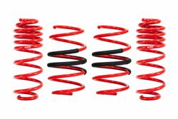 SPORTLINE SPRING KIT