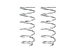 Lift Springs, Pro-Kit, Rear, Coil Type, Silver Powdercoated, Toyota, Pair