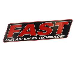 Decal, Vinyl, FAST Logo, 12 in. Length, Each