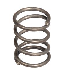 Fuel Pump Components, Replacement Spring, Use on FASS Diesel Fuel Pumps, Each