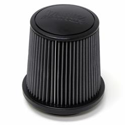 Banks Power Ram-Air Replacement Dry Filter Elements 42141-D