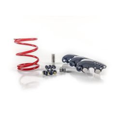 RZR 900, 1000 S, General ('15-Up) Stage 1 Clutch Kit