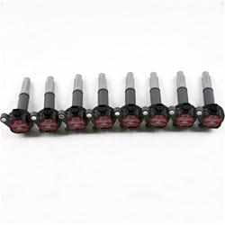 Ignition Coil, Hot Street, Coil Pack, Black, 52,000 V, Ford, Coyote, Set of 8