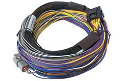 Elite 950 Basic Universal Wire-in Harness 2.5m (8')