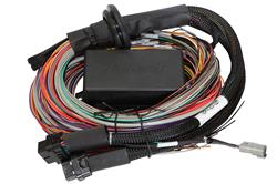 Wiring Harness, Elite 2500/2500 T Premium Universal Harness, 8 ft. Length, Each