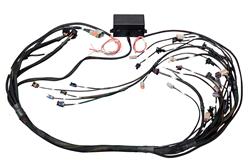 Wiring Harness, Elite 2000/2500 GM Gen III LS1/LS6, Non-DBW Terminated Harness, Each