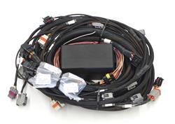 Wiring Harness, Elite 2000/2500 GM Gen III LS1/LS6, DBW Reaady Terminated Harness, Each