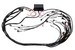 Wiring Harness, Elite 2000/2500 GM Gen IV LS/LSX, Non-DBW Terminated Harness, Bosch EV1, Each