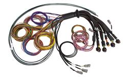 Nexus R5 Basic Universal Wire-In harness - 2.5M (8')