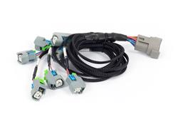 Wiring Harness, Fuel Injector Sub-Harness, EV6, Nexus Rebel LS, Chevrolet, LS, Each