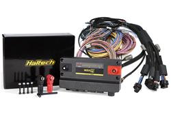 Nexus R5 + Universal Wire-in Harness Kit - 5M (16')