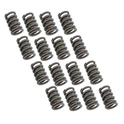 Valve Springs, Single, 1.260 in. Outside Diameter, 370 lbs./in. Rate, 1.095 in. Coil Bind Height, Set of 16