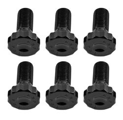 Flywheel Bolts, 12-Point Head, 7/16 in.-20 Thread, 1.0 in. Length, Set of 6