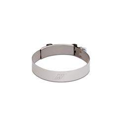 Hose Clamp, T-Bolt, Stainless Steel, Natural, 3.380-3.700 in. Each