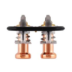 Thermostats, Standard-flow, 189/196 degrees, Copper/Stainless Steel, Ford, 6.7L Diesel, Pair