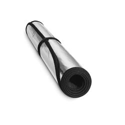 Windshield Sun Shade, TechShade, Dodge, Each
