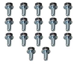 Automatic Transmission Pan Bolts, Hex-flange, Steel, Zinc Plated, Ford, C6, Set of 17