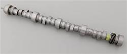 Camshaft, Hydraulic Roller Tappet, Advertised Duration 269/276, Lift .495/.503, Chevy, LT1/LT4, Each