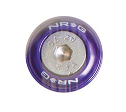 Fender Washer Kit, Set of 10, Purple, Rivets for Metal