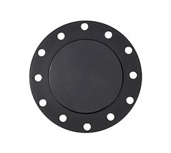 Horn Delete Plate Flush Fitting- Black