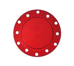 Horn Delete Plate Flush Fitting- Red