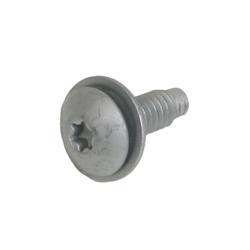 Bolts, Torx Head, Instrument Panel, Jeep, Each