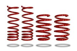 Lowering springs, Sportsryder Coil spring kit