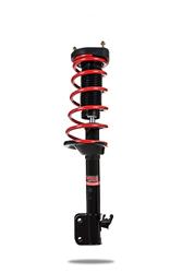 SHOCKS AND STRUTS