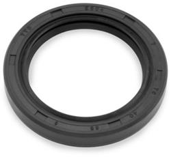 DBL LIP SEAL 5506 38X55X6