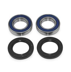 Powersports Drivetrain Bearing and Seal Kits, Carrier, Steel, Polaris, Rear, Kit