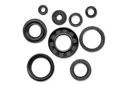 QB OIL SEAL SET