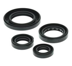 QuadBoss Qb Oil Seal Set